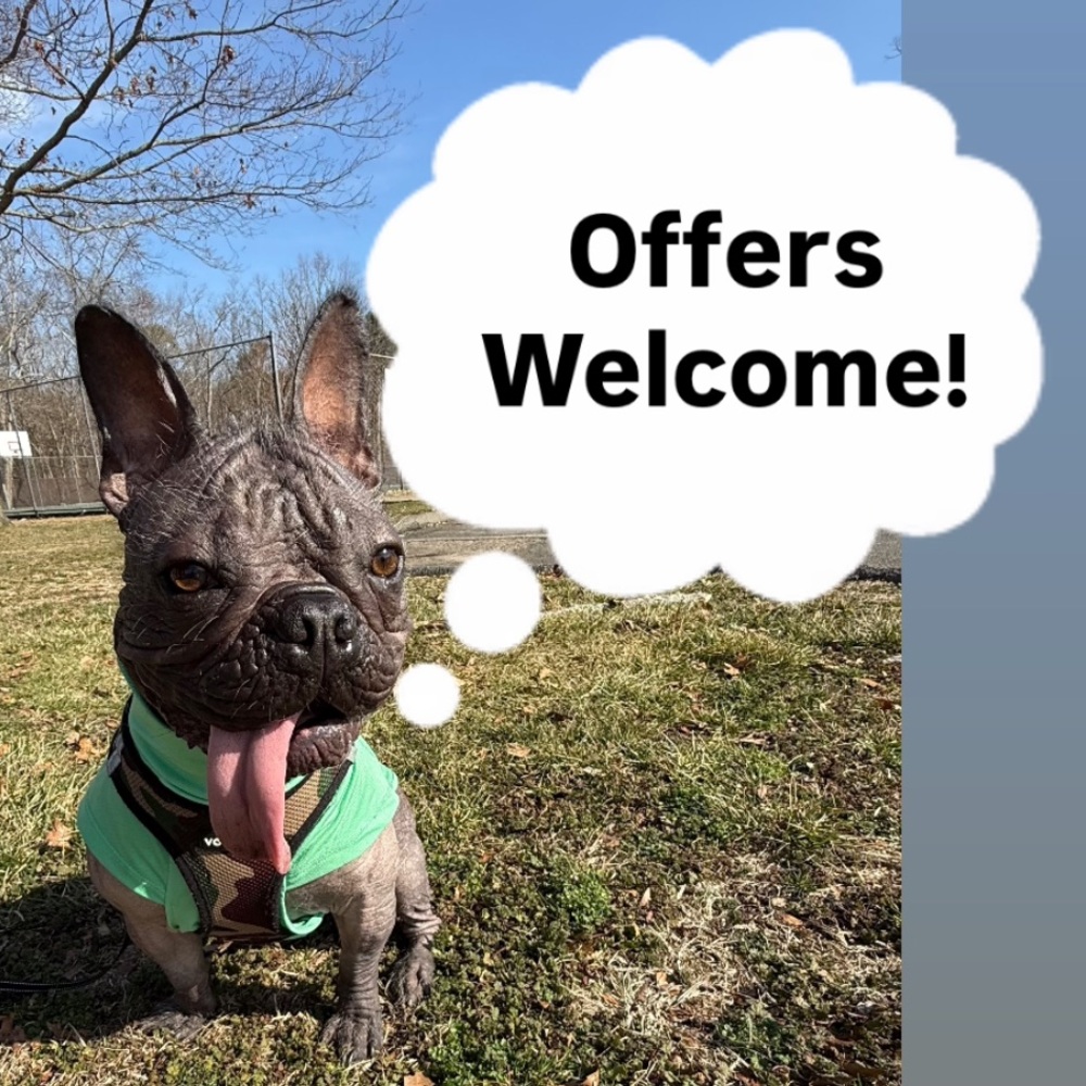 Offers welcome!!